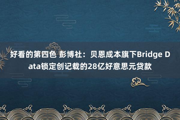 好看的第四色 彭博社：贝恩成本旗下Bridge Data锁定创记载的28亿好意思元贷款