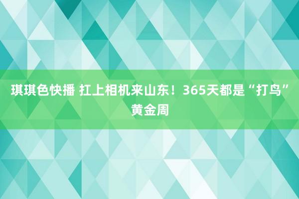 琪琪色快播 扛上相机来山东！365天都是“打鸟”黄金周
