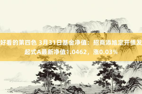 好看的第四色 3月31日基金净值：招商添旭定开债发起式A最新净值1.0462，涨0.03%